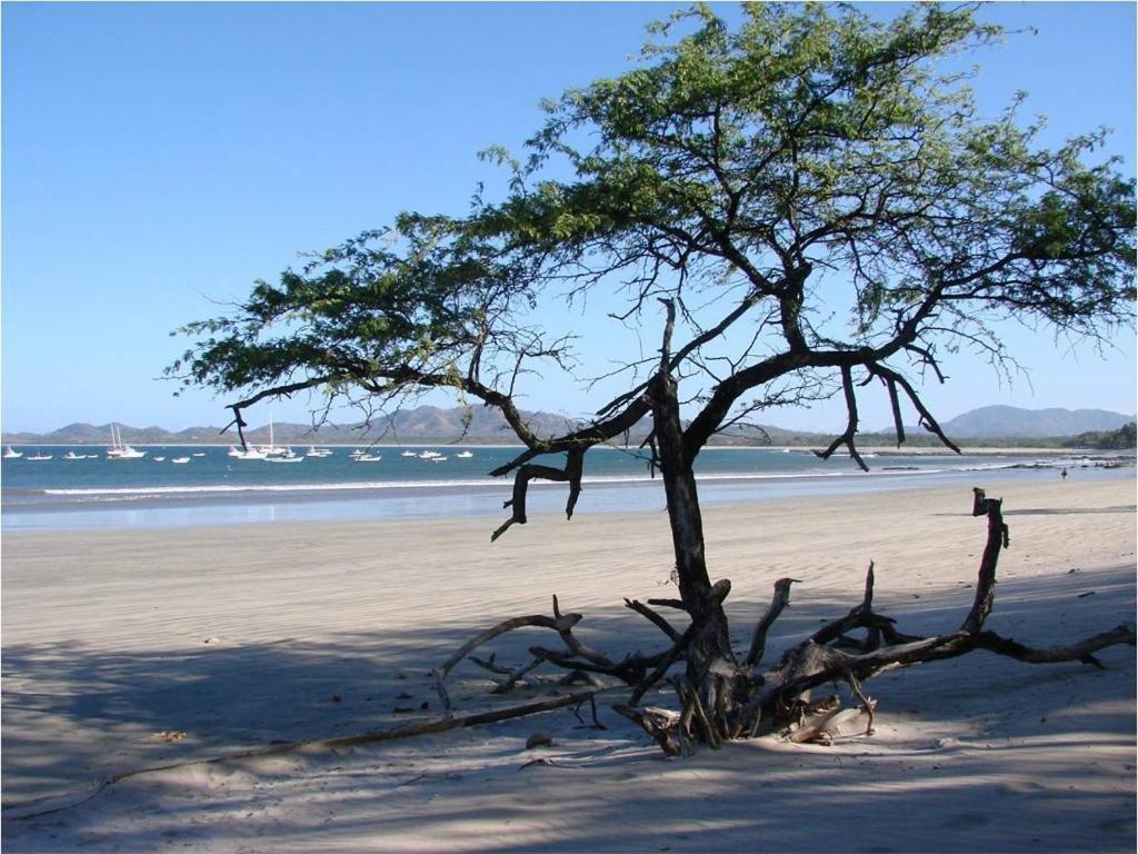 Jet Luxury At Langosta Beach Resort & Villas Tamarindo Ngoại thất bức ảnh